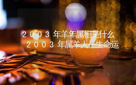 2003 年 生肖|2003年出生的属什么,2003年是什么生肖